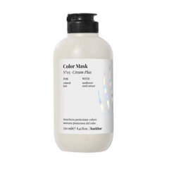 Maska krāsotiem matiem Farmavita Pro Back Bar No5 Color Mask, 250 ml cena un informācija | Kosmētika matu stiprināšanai | 220.lv