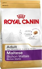Royal Canin Maltese Adult для собак породы мальтийский бишон, 0,5 кг цена и информация |  Сухой корм для собак | 220.lv