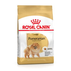 Royal Canin Pomeranian Adult pieaugušiem miniatūru špicu šķirņu suņiem, 3 kg cena un informācija | Sausā barība suņiem | 220.lv