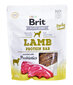 Brit Lamb Protein ar jēru, 200 g cena un informācija | Sausā barība suņiem | 220.lv