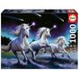 Puzle Educa Unicorns Anne Stokes, 1000 gab цена и информация | Puzles, 3D puzles | 220.lv