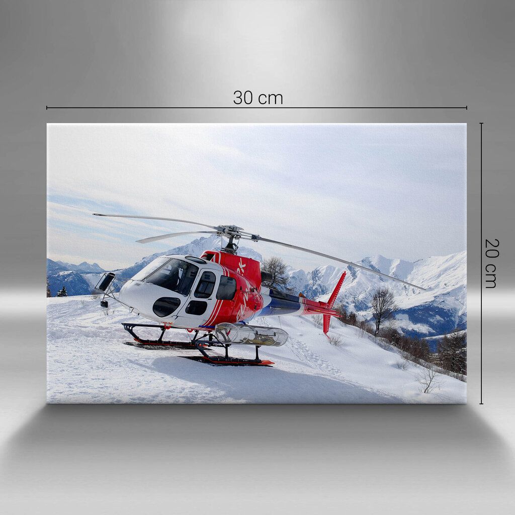Glezna Helikopters uz sniega kupenas cena un informācija | Gleznas | 220.lv