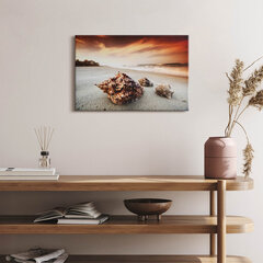 Glezna Jūras gliemežvāks pludmalē цена и информация | Картины | 220.lv