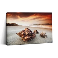 Glezna Jūras gliemežvāks pludmalē cena un informācija | Gleznas | 220.lv