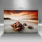 Glezna Jūras gliemežvāks pludmalē cena un informācija | Gleznas | 220.lv