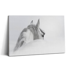 Glezna Andalūzijas zirgs miglā cena un informācija | Gleznas | 220.lv