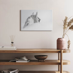 Glezna Andalūzijas zirgs miglā cena un informācija | Gleznas | 220.lv