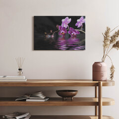 Glezna Rozā orhidejas zieds uz ūdens cena un informācija | Gleznas | 220.lv