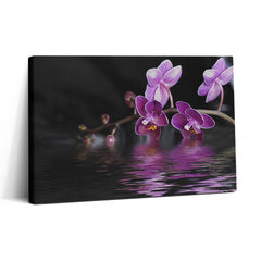 Glezna Rozā orhidejas zieds uz ūdens цена и информация | Картины | 220.lv