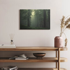 Glezna No rīta miglains mežs cena un informācija | Gleznas | 220.lv