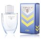 Tualetes ūdens Top Gun Chevron EDT vīriešiem, 100 ml cena un informācija | Vīriešu smaržas | 220.lv