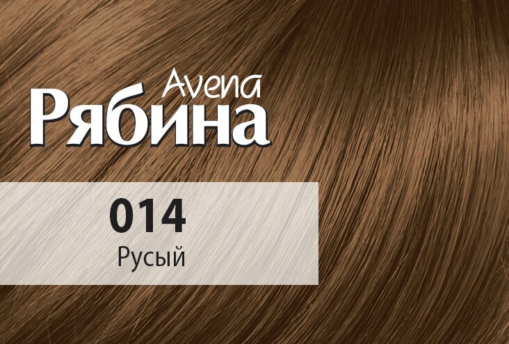 Krēmveida matu krāsa Acme Color Rjabina Avena, 014 Light brown цена и информация | Matu krāsas | 220.lv