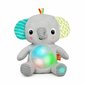 Mīksta ziloņu rotaļlieta Bright Starts, FR cena un informācija | Rotaļlietas zīdaiņiem | 220.lv