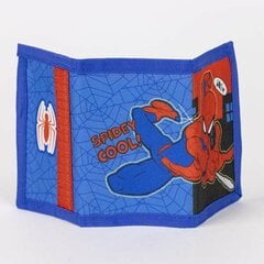 Saulesbrilles un maka komplekts Marvel Spiderman S0738885, zils цена и информация | Аксессуары для детей | 220.lv