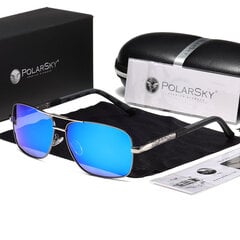 Polarizētas saulesbrilles vīriešiem PolarSky Nerdy cena un informācija | Saulesbrilles  vīriešiem | 220.lv