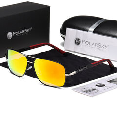 Polarizētas brilles Uv400 Nerdy PolarSky cena un informācija | Saulesbrilles  vīriešiem | 220.lv