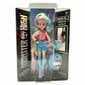 Lelle Monster High Boli 20 x 12 x 3 cm cena un informācija | Rotaļlietas meitenēm | 220.lv