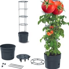 Горшок для выращивания томатов, 29,5 x 29,5 x 115 см цена и информация | Вазоны | 220.lv