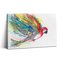 Glezna Akvareļa krāsains papagailis lidojumā cena un informācija | Gleznas | 220.lv