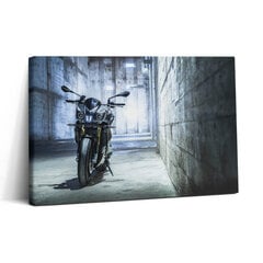 Glezna Motocikls pilsētas betona alejā цена и информация | Картины | 220.lv