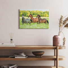 Glezna Zirgi pļavā cena un informācija | Gleznas | 220.lv