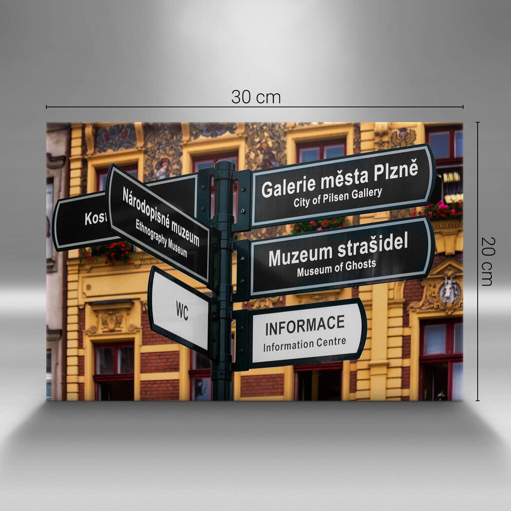 Glezna Pilzno ceļa zīme cena un informācija | Gleznas | 220.lv