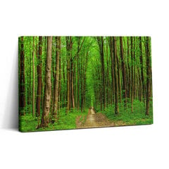 Glezna Meža ceļš starp kokiem цена и информация | Картины | 220.lv