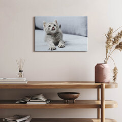 Glezna Burvīgs mazs kaķēns uz dīvāna cena un informācija | Gleznas | 220.lv