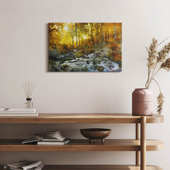 Картина из закаленного стекла Осенний лес цена и информация | Картины | 220.lv