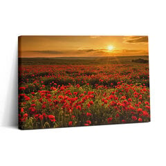 Glezna Magoņu ziedu pļavas ainava cena un informācija | Gleznas | 220.lv