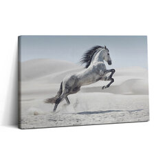 Glezna Gallopējošs balts zirgs cena un informācija | Gleznas | 220.lv