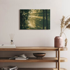 Репродукция солнце в лесу  цена и информация | Картины | 220.lv
