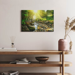 Glezna Meža strauts saules gaismā цена и информация | Картины | 220.lv