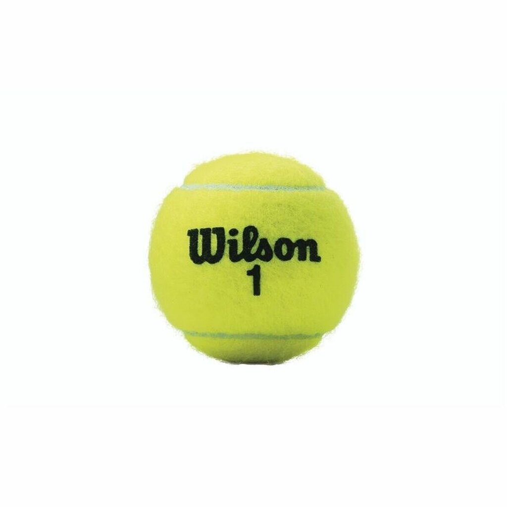 Tenisa bumbiņas Wilson, dzeltenas cena un informācija | Āra tenisa preces | 220.lv