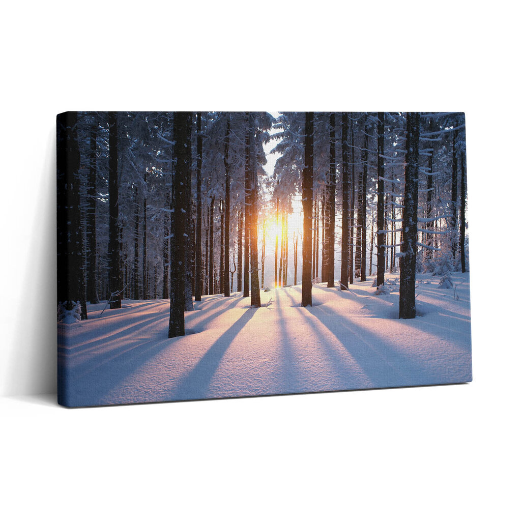 Glezna Saulriets un mežs ziemā cena un informācija | Gleznas | 220.lv