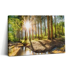 Glezna Saule aiz kokiem mežā цена и информация | Картины | 220.lv