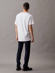 Calvin Klein Jeans džinsi vīriešiem Regular Taper Ckunfiltered 32' 560078024, zili cena un informācija | Vīriešu džinsi | 220.lv