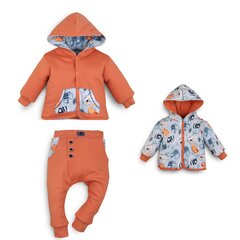 Komplekts zēniem Nini BB-55, oranžs цена и информация | Комплекты одежды для новорожденных | 220.lv