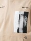Calvin Klein Jeans hūdijs vīriešiem Serenity Multi Graphic Travertine 560077751, brūns cena un informācija | Vīriešu jakas | 220.lv