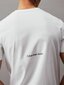 Calvin Klein Jeans T-krekls vīriešiem Serenity Multi Graphic 560077738, balts cena un informācija | Vīriešu T-krekli | 220.lv