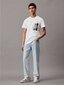 Calvin Klein Jeans T-krekls vīriešiem Serenity Multi Graphic 560077738, balts cena un informācija | Vīriešu T-krekli | 220.lv