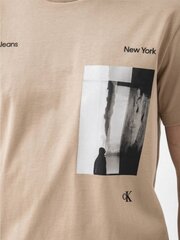 Calvin Klein Jeans T-krekls vīriešiem Serenity Multi Graphic 560077732, brūns cena un informācija | Vīriešu T-krekli | 220.lv