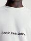 Calvin Klein Jeans T-krekls vīriešiem Square Frequency Logo 560077983, balts cena un informācija | Vīriešu T-krekli | 220.lv