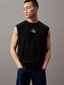 Calvin Klein Jeans tops vīriešiem Monologo Sleeveless 560077936, melns cena un informācija | Vīriešu T-krekli | 220.lv