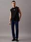Calvin Klein Jeans tops vīriešiem Monologo Sleeveless 560077936, melns цена и информация | Vīriešu T-krekli | 220.lv