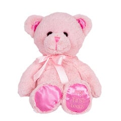 Plīša lācis 40 cm, rozā cena un informācija | Mīkstās (plīša) rotaļlietas | 220.lv
