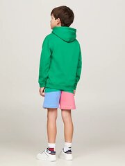 Tommy Hilfiger hūdijs zēniem U Monogram Hoodie 540125688, zaļš cena un informācija | Zēnu jakas, džemperi, žaketes, vestes | 220.lv