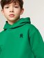 Tommy Hilfiger hūdijs zēniem U Monogram Hoodie 540125688, zaļš cena un informācija | Zēnu jakas, džemperi, žaketes, vestes | 220.lv