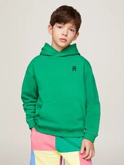 Худи  TOMMY HILFIGER U Monogram Hoodie KS0KS00546L4B 540125688 цена и информация | Свитеры, жилетки, пиджаки для мальчиков | 220.lv