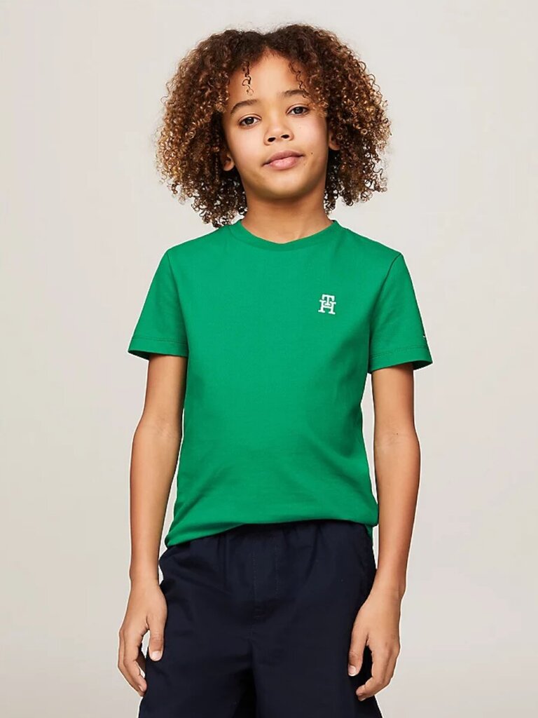 Tommy Hilfiger T-krekls zēniem Pique Monogram Tee S/s 540125640, zaļš cena un informācija | Zēnu krekli | 220.lv